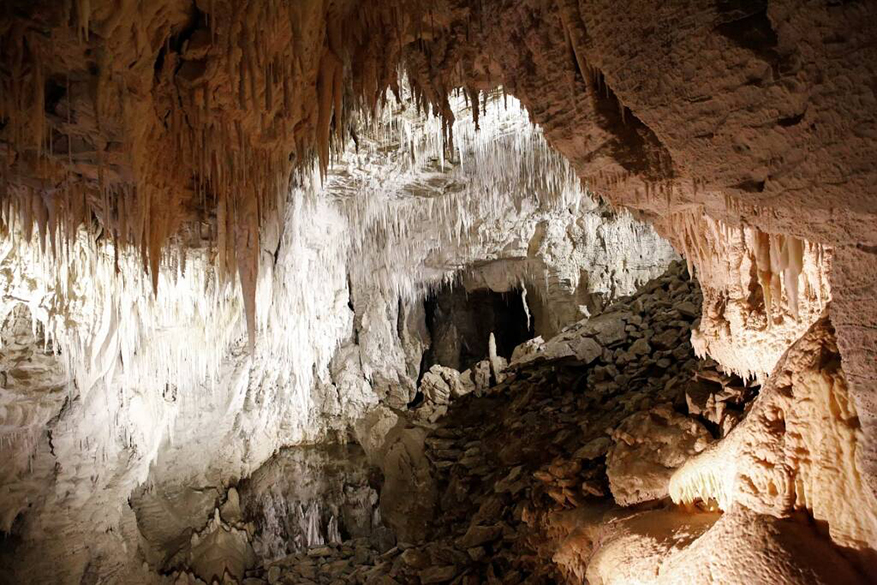 Ruakuri Caves, Waitomo